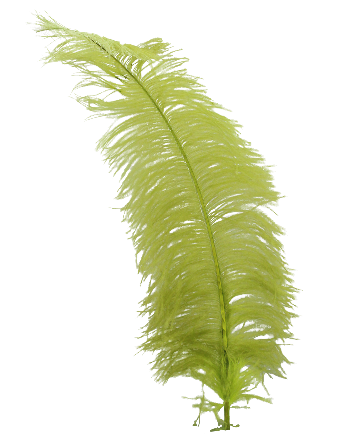 Spads Untrimmed 20" + H7 Apple