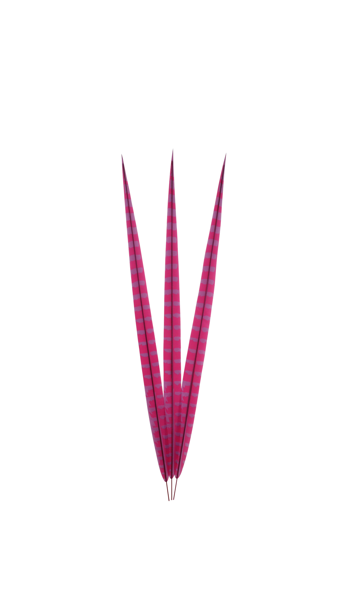 Artificial Ringneck 24" Overdyed Hot Pink H69