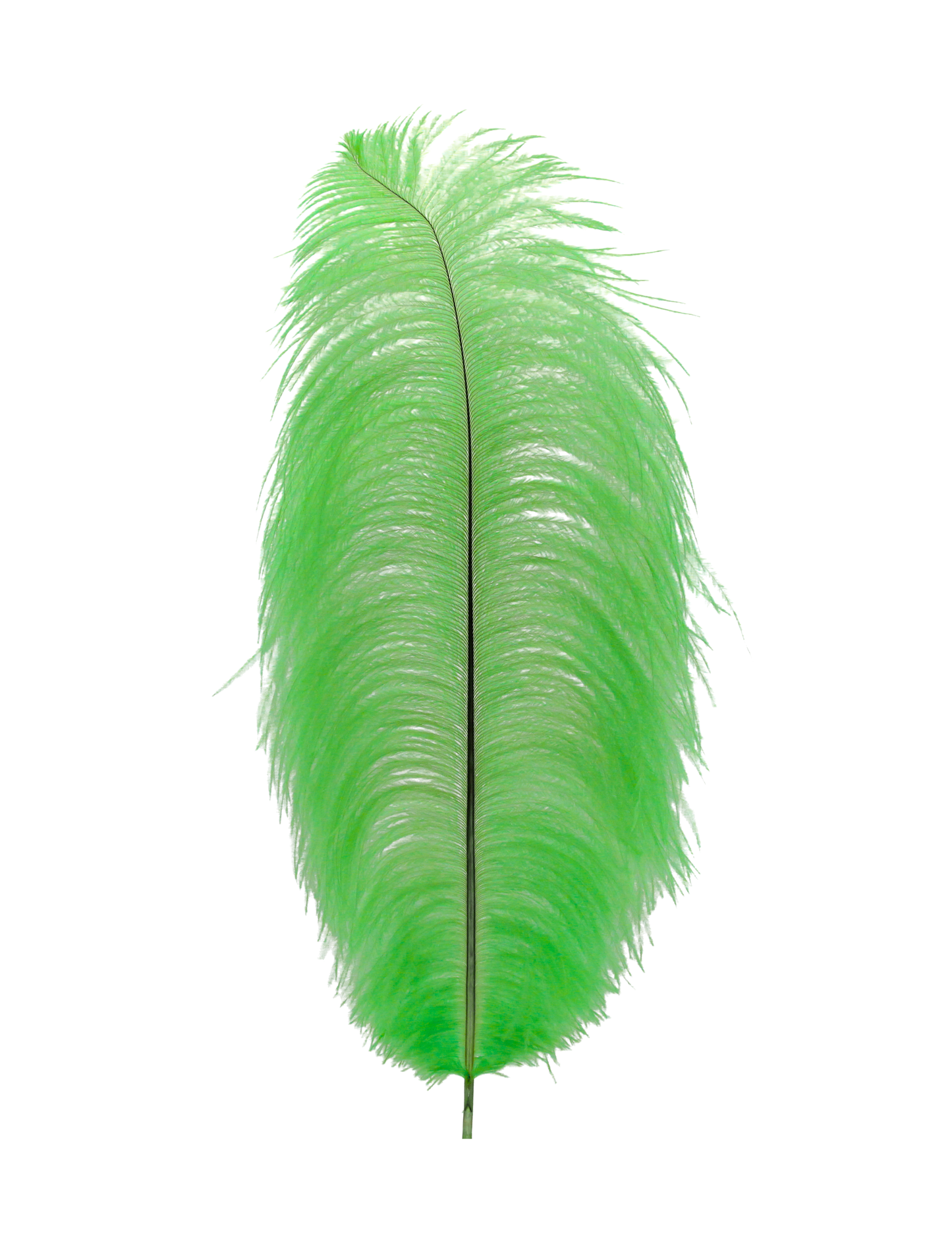 Ostrich Drabs 13-17" H101 Lime