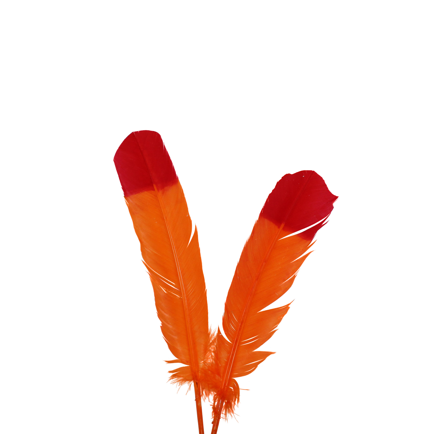 10-12” Turkey Quills Regular Cut 2 Tone H62 Orange & H72 Red