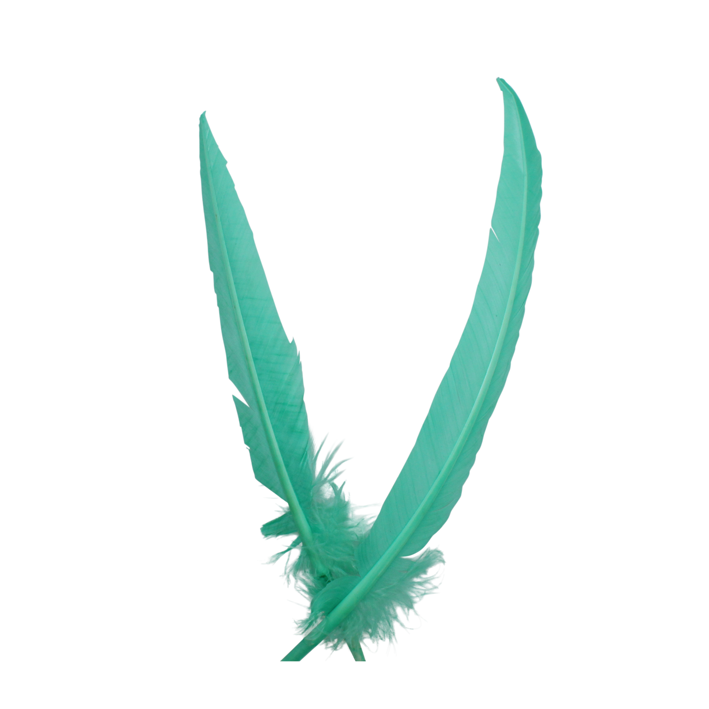 10-12” Turkey Quills Arrow Cut H6 Mint