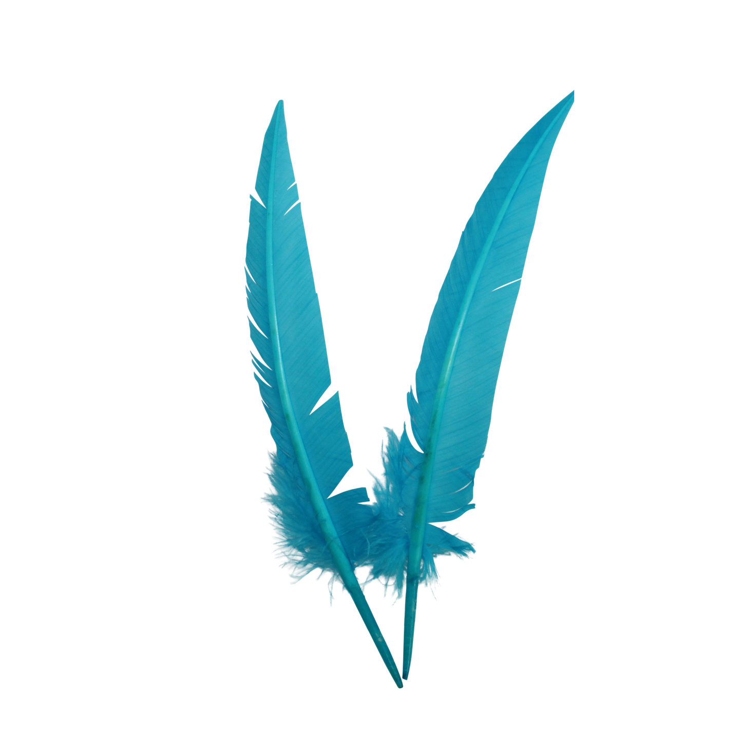 10-12” Turkey Quills Arrow Cut H12 Aqua Blue
