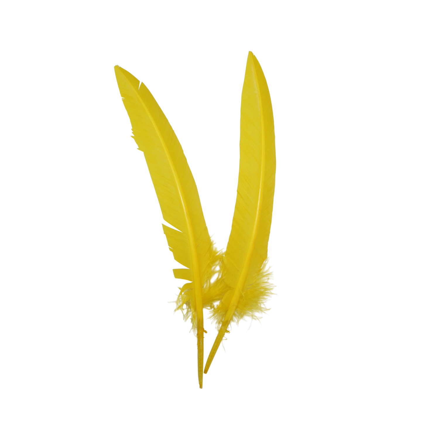 10-12” Turkey Quills Arrow Cut H36 Yellow