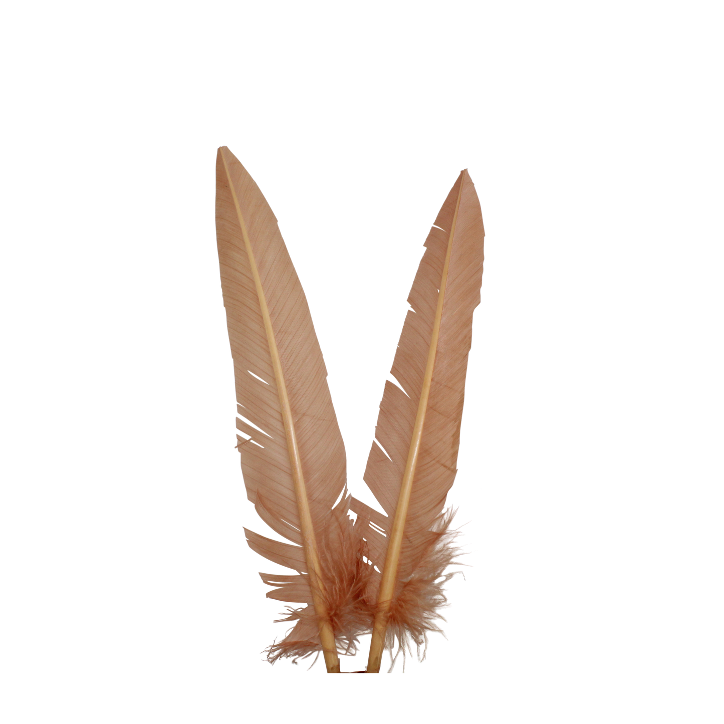 10-12” Turkey Quills Arrow Cut H41 Tan