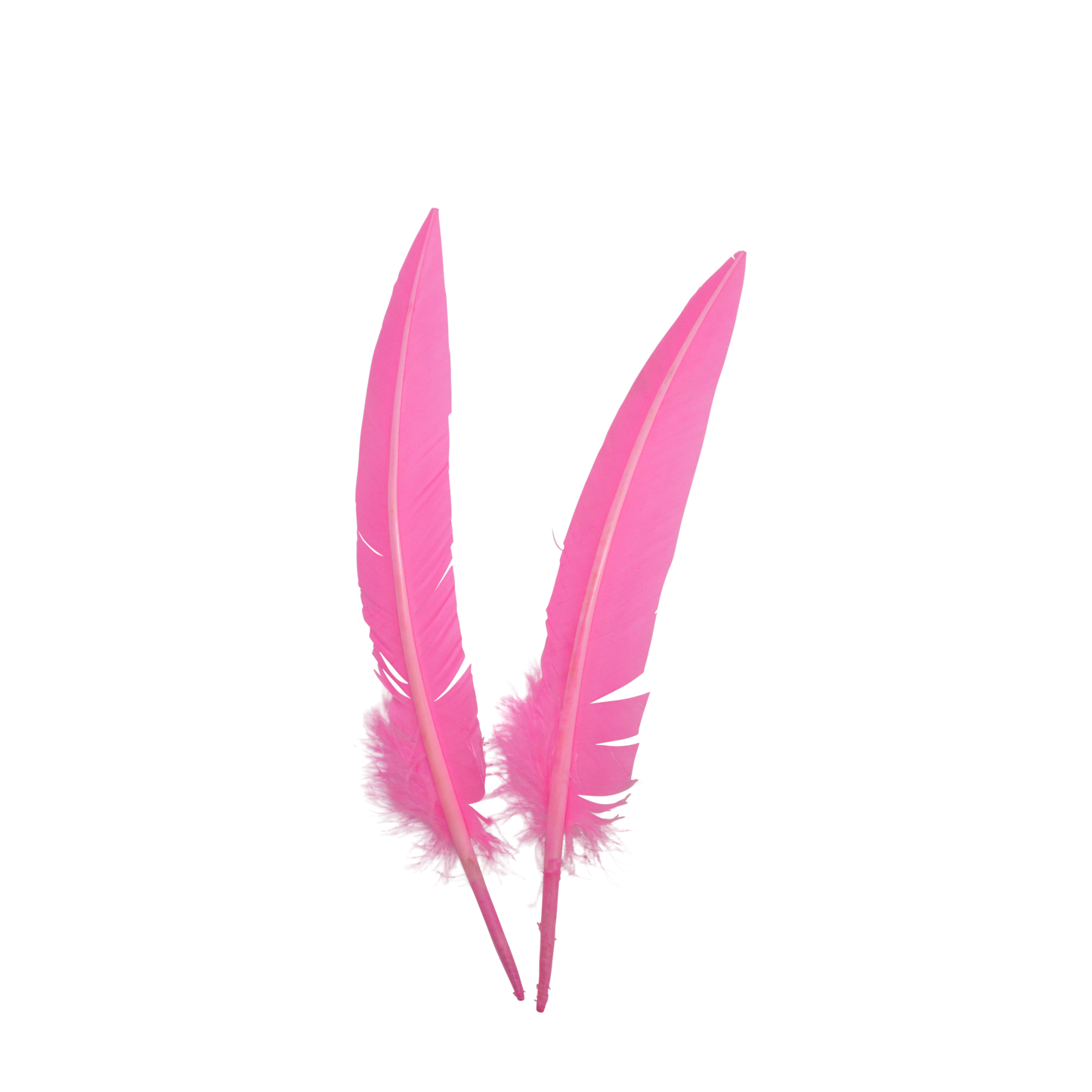 10-12” Turkey Quills Arrow Cut H65 Candy Pink