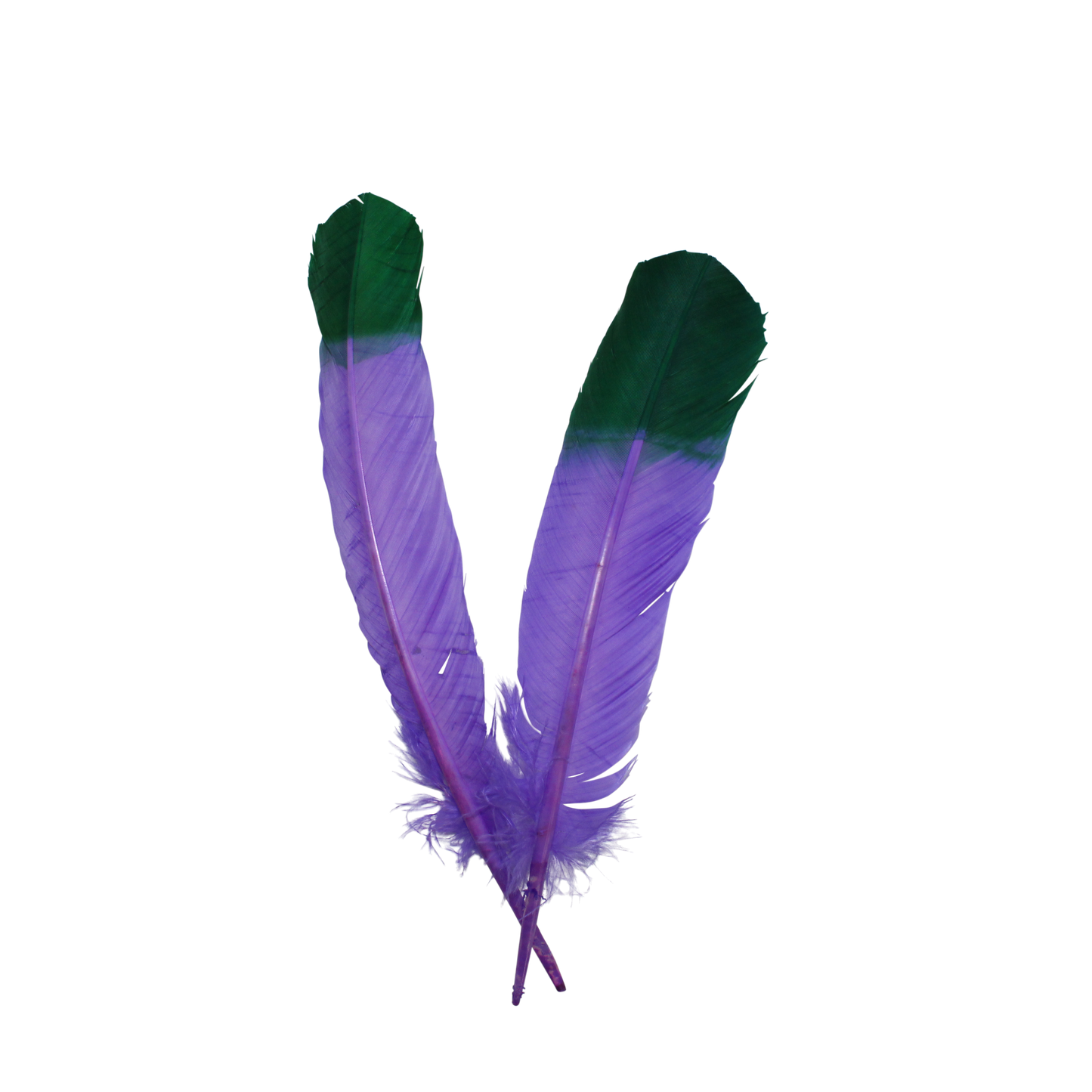 10-12” Turkey Quills Regular Cut 2 Tone H89 Lavender & H9 Emerald