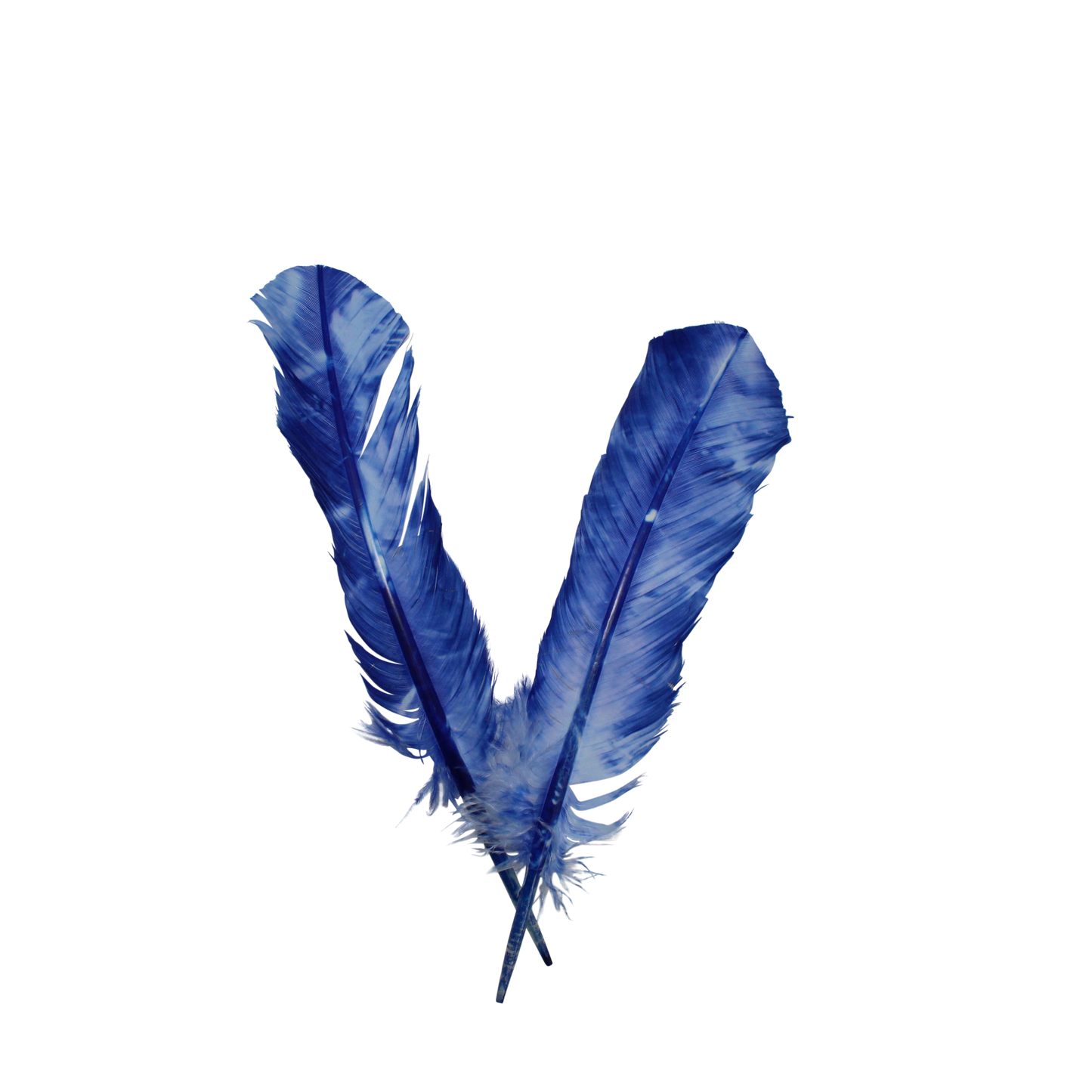 10-12” Turkey Quills Regular Cut Camouflage Royal