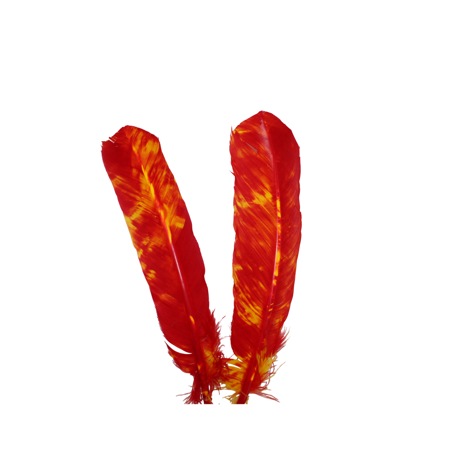 10-12” Turkey Quills Regular Cut Camouflage Red & Orange