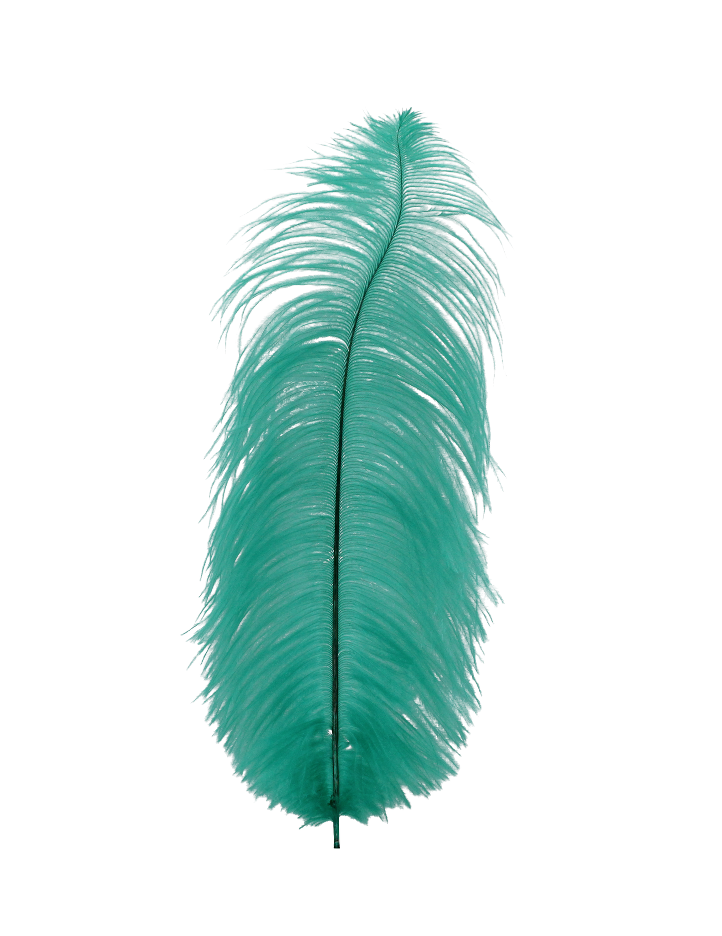 Ostrich Drabs 13-17" H87 Aquamarine
