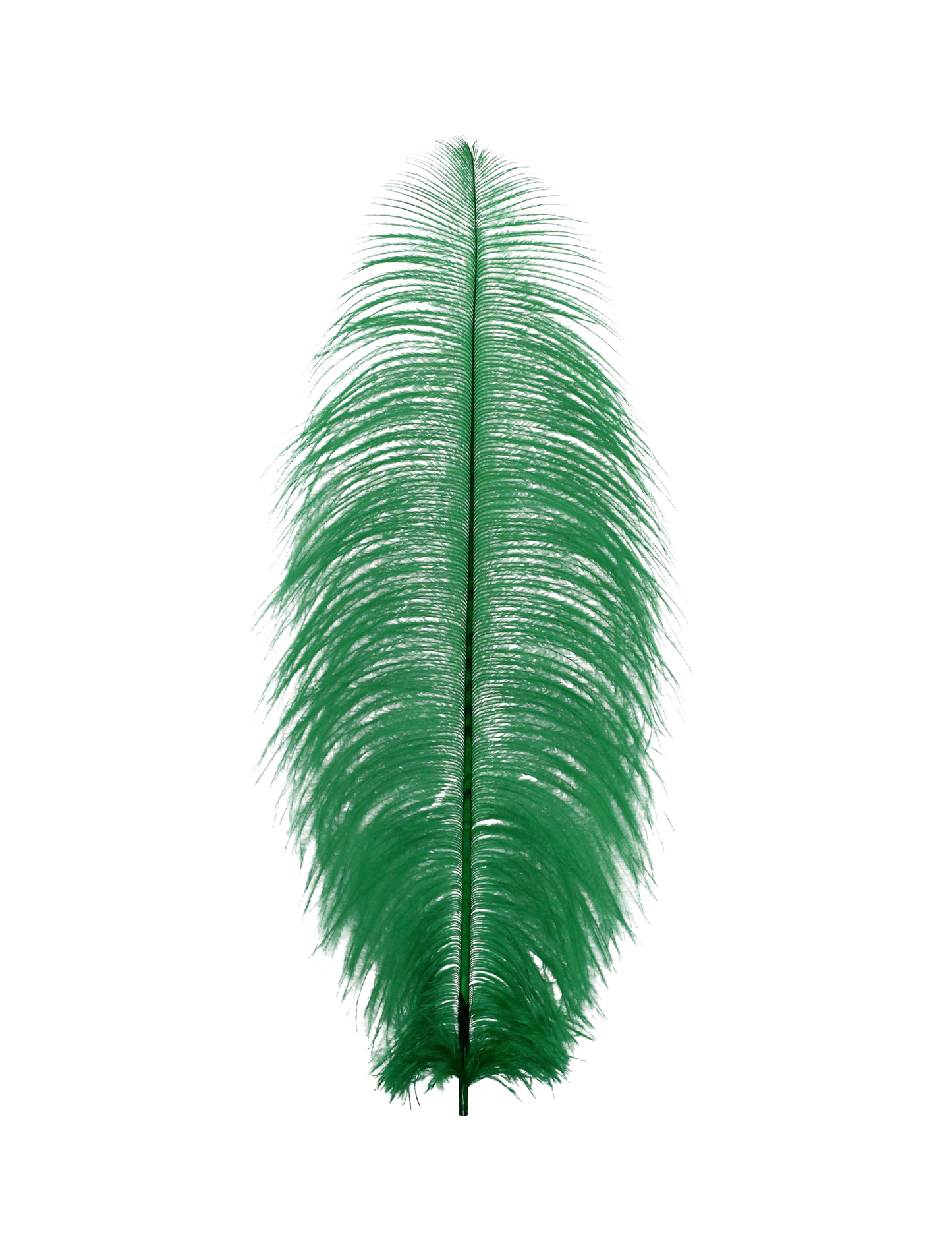 Ostrich Drabs 13-17" H9 Emerald