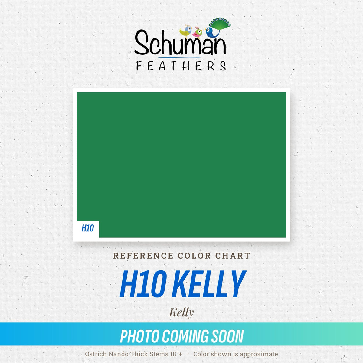Ostrich Nando Thick Stems 18"+ H10 Kelly - reference color chart, photo coming soon
