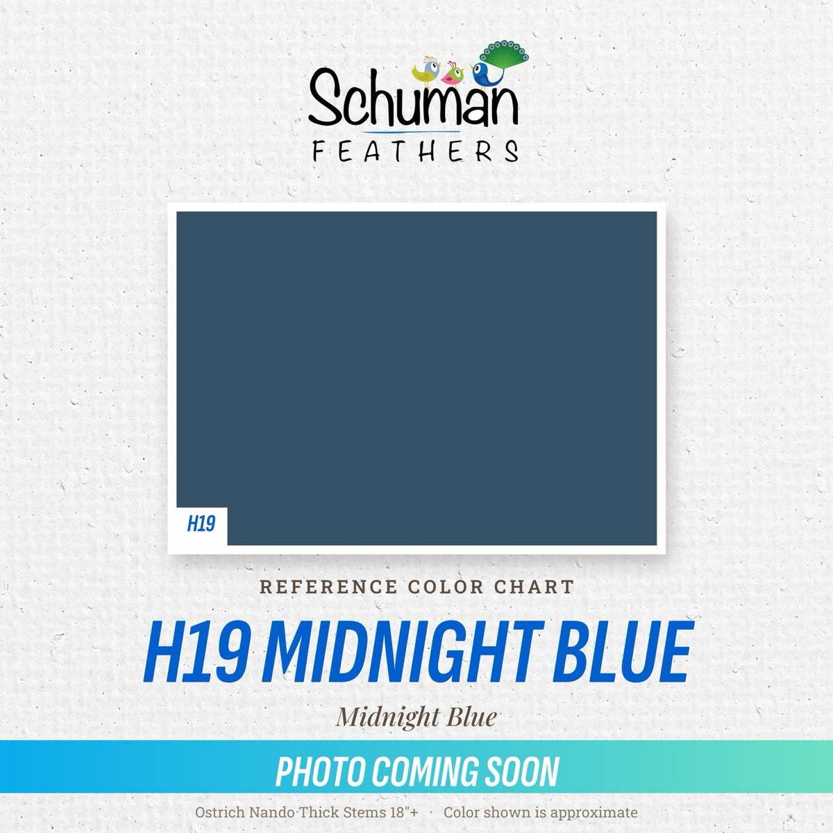 Ostrich Nando Thick Stems 18"+ H19 Midnight Blue - reference color chart, photo coming soon