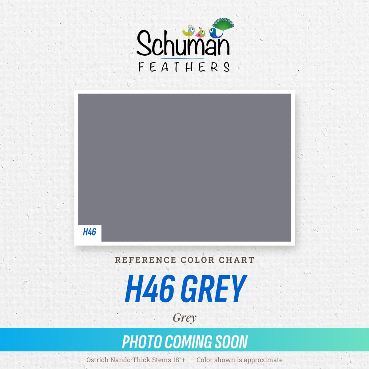 Ostrich Nando Thick Stems 18"+ H46 Grey - reference color chart, photo coming soon