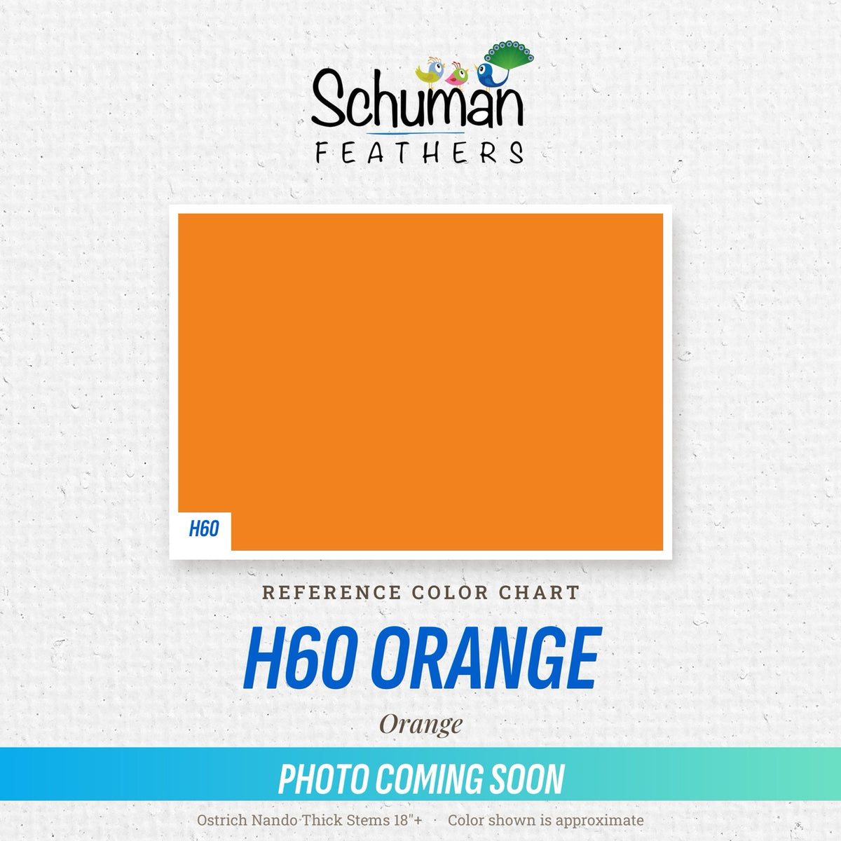 Ostrich Nando Thick Stems 18"+ H60 Orange - reference color chart, photo coming soon
