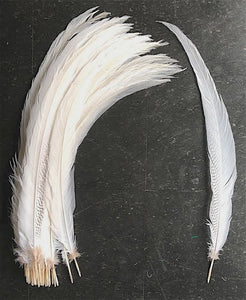 Silver Pheasant Tail Feathers, 30+ inches long, by the piece or per 10 feathers (NEW ITEM!)