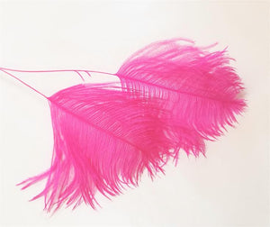 Ostrich Plume Tips 18”+