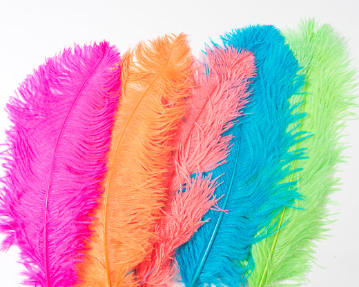 HOW TO REVIVE/FLUFF OSTRICH FEATHERS