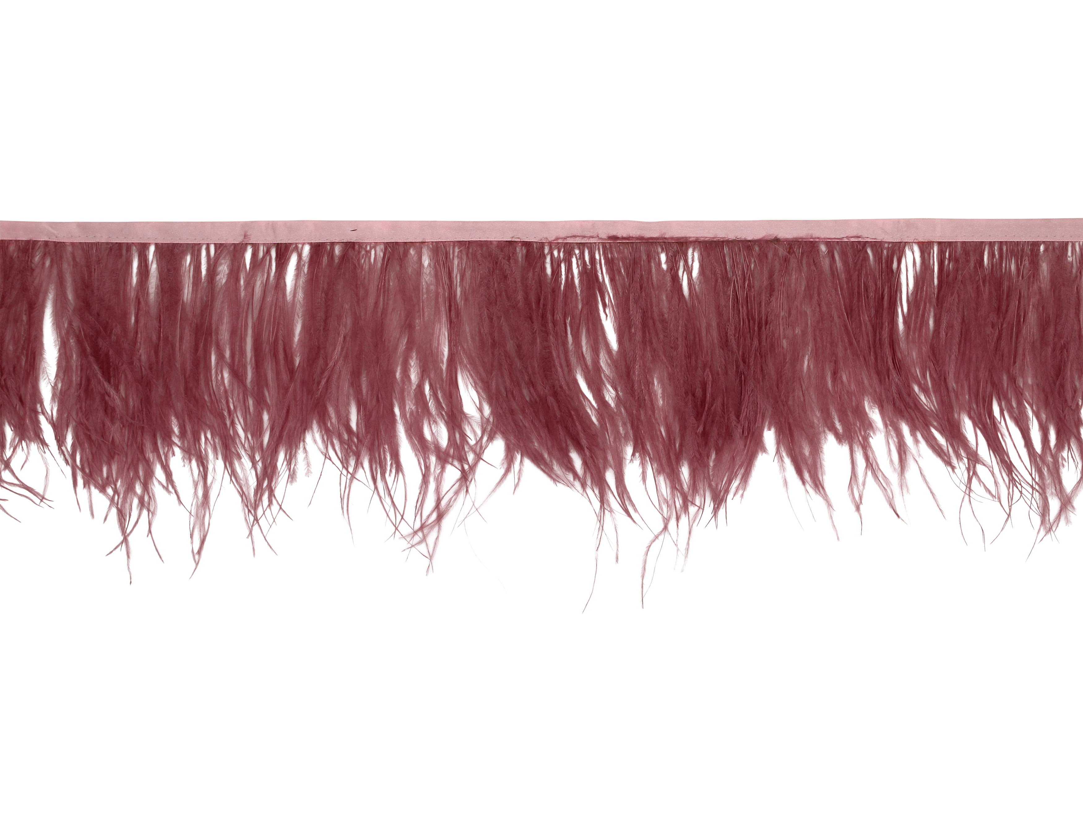 Ostrich Schuman Feathers 