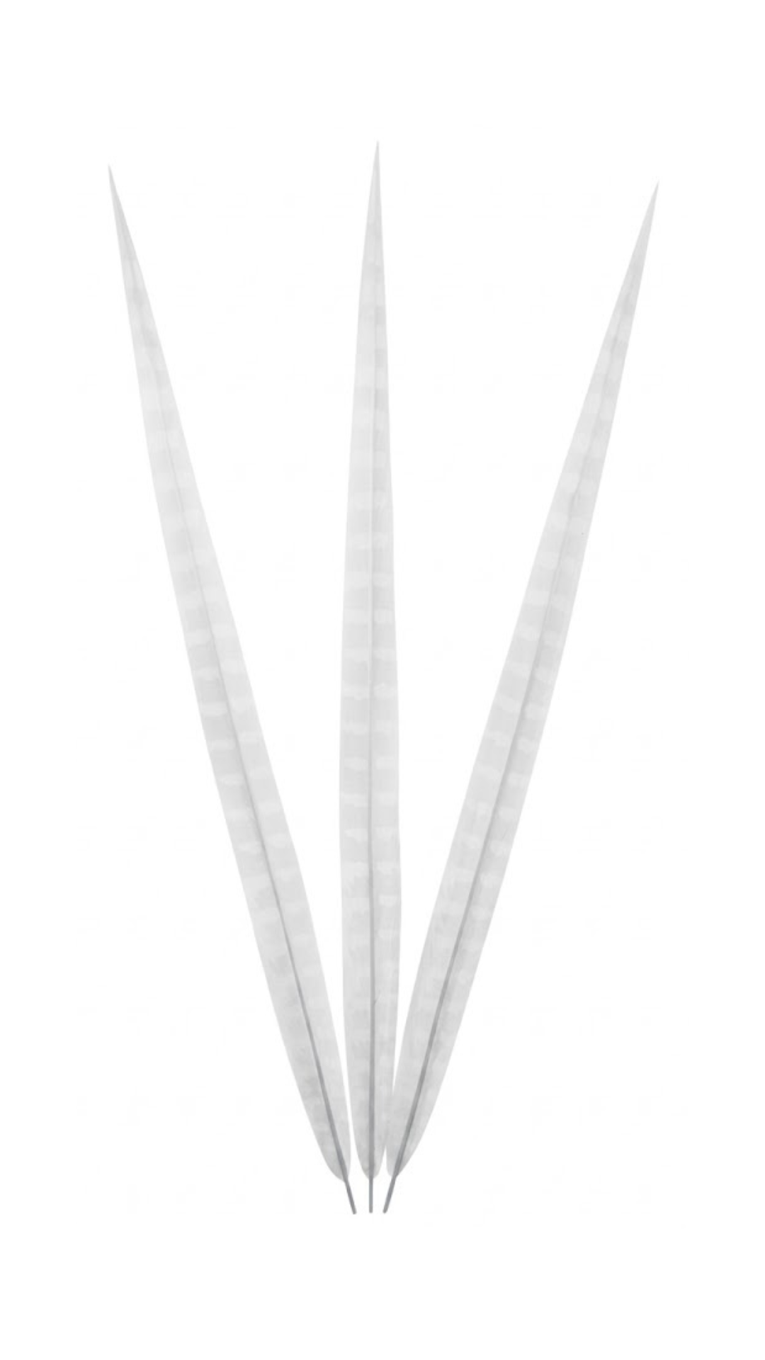 Artificial Ringneck 24" White H81 Bleached & Dyed