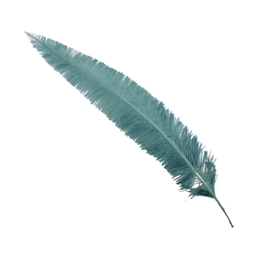 Ostrich Nando Thick Stems 18"+ Dusty Teal