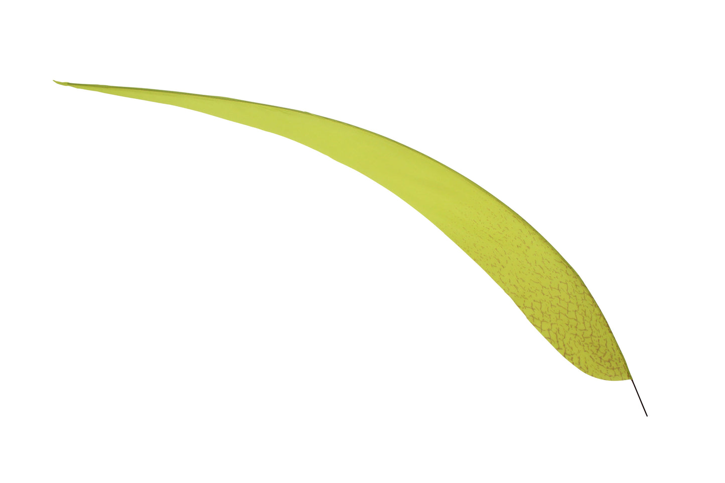 Artificial Silver Pheasant 28" - Neon Yellow