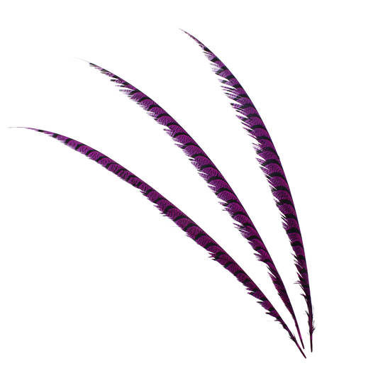 Pheasant Zebra Overdyed 30"+ H52 Grape