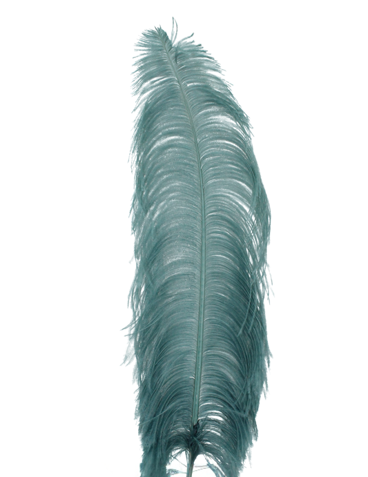 Ostrich Wing Plumes 1st Quality 20"+ Dusty Teal