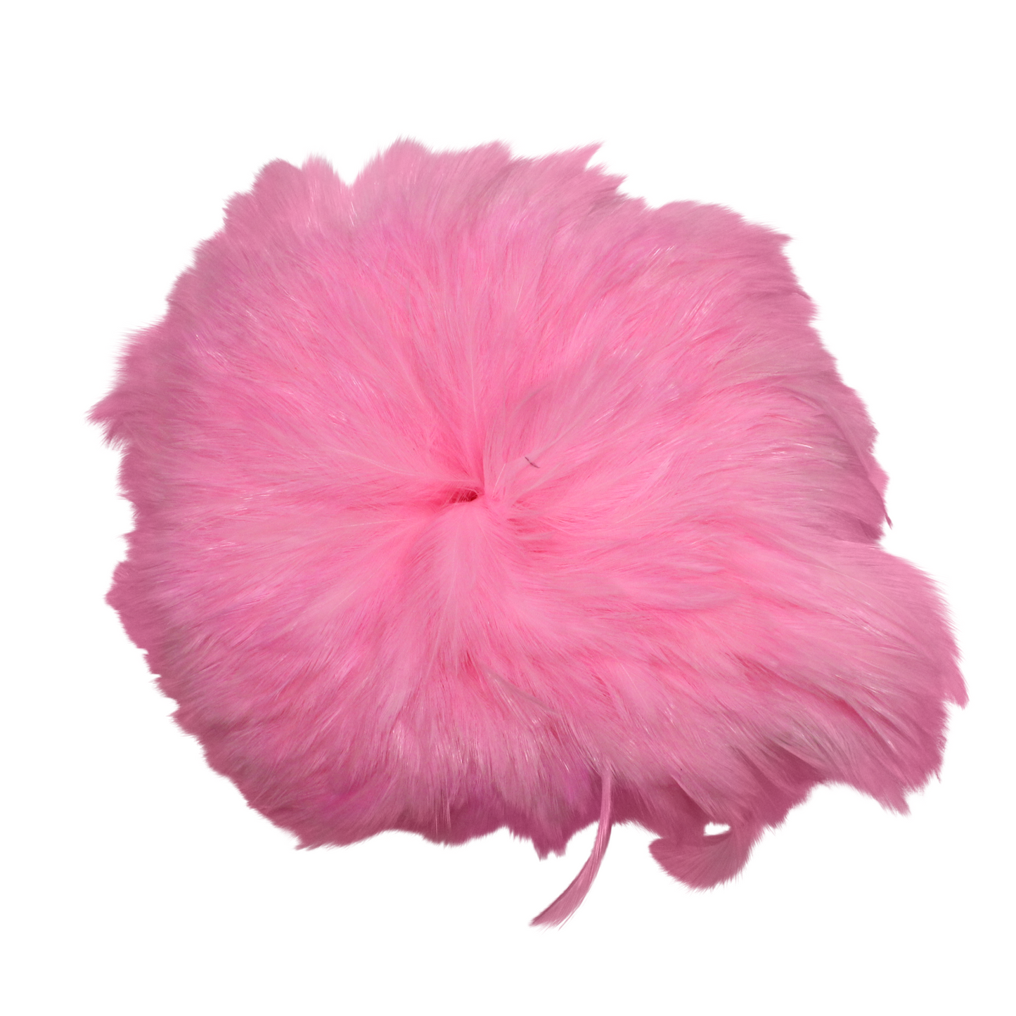 Hackles Pounds 4–6" H65 Candy Pink