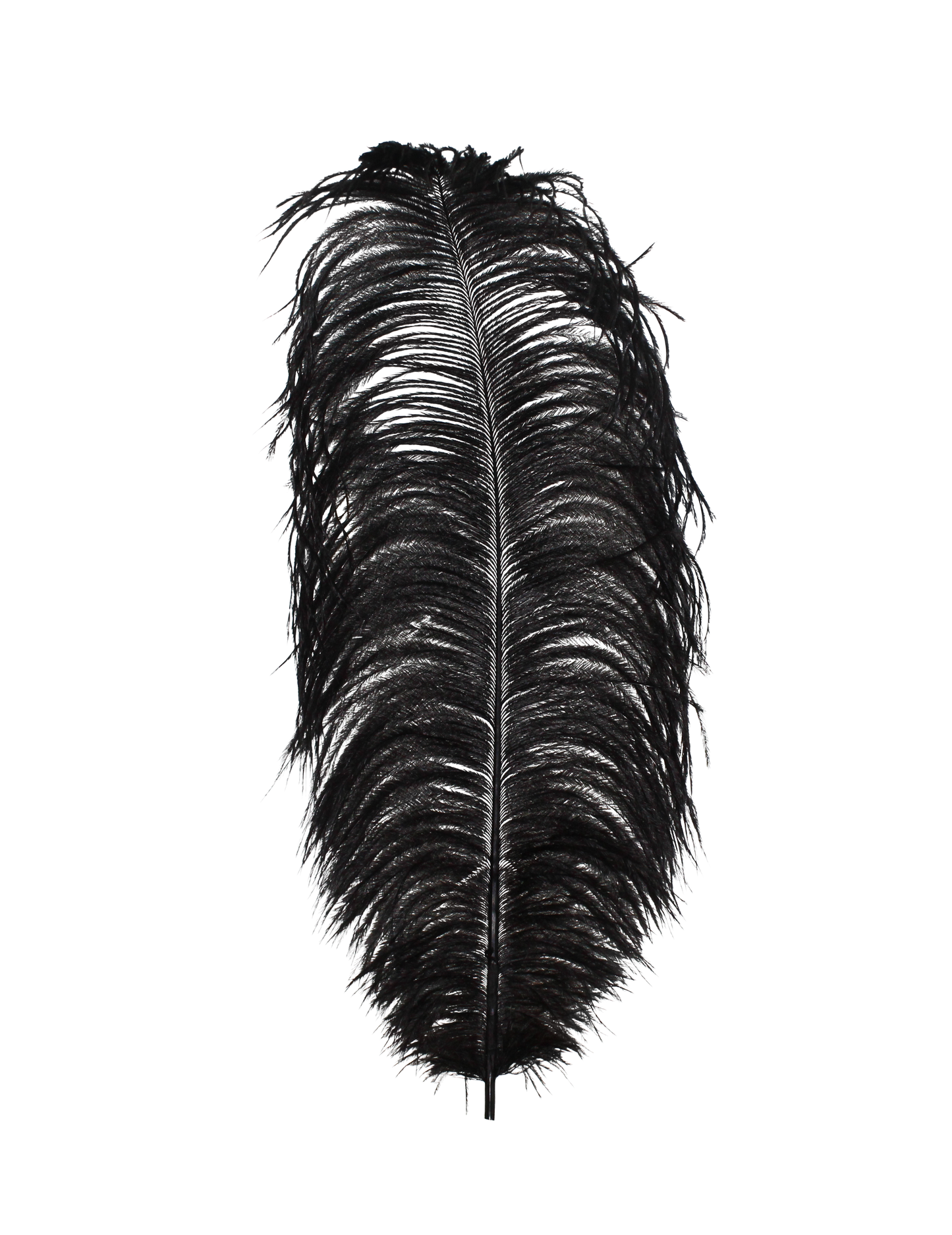 Ostrich Drabs 13-17" H80 Black