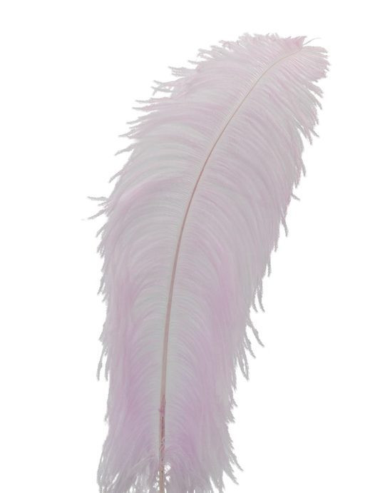 Ostrich Wing Plumes 1st Quality 20"+ H95 Lilac Cloud