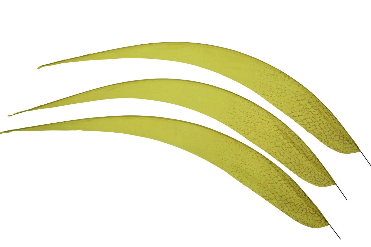 Artificial Silver Pheasant 28" - Yellow H36