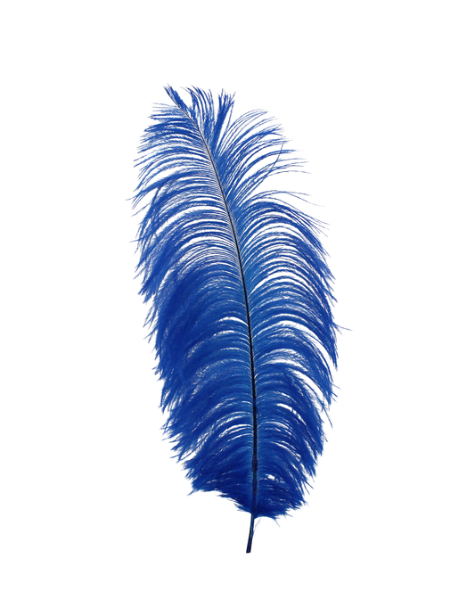 Ostrich Drabs 13-17" H17 Royal Blue