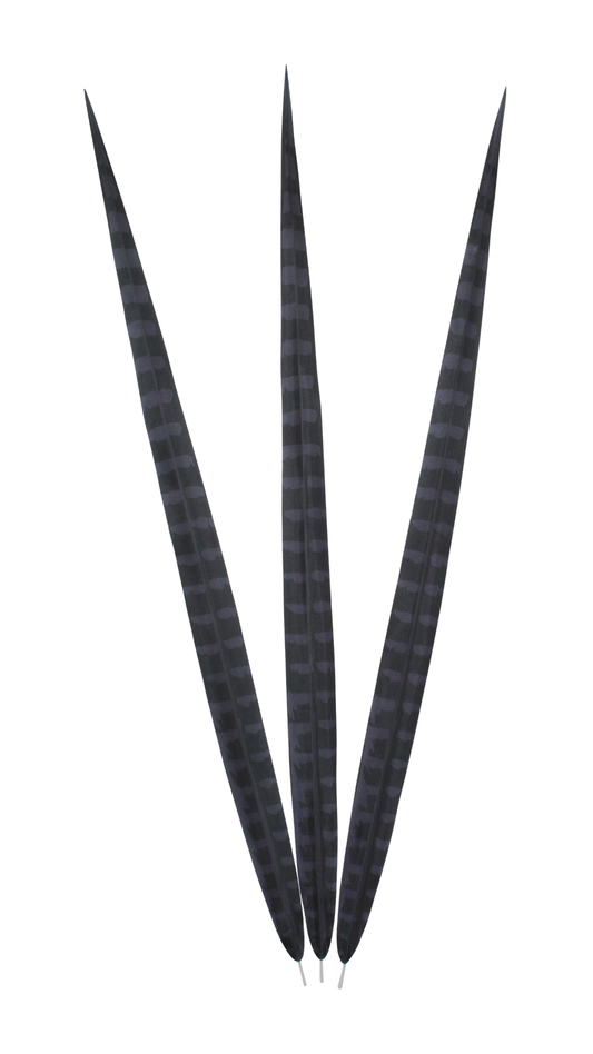 Artificial Ringneck 24" Black H80 Bleached & Dyed