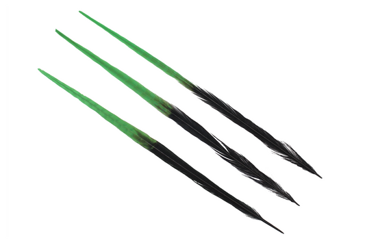 Pheasant Ringneck Bleached & Dyed 2 Tone 17-20" H8 Emerald & H80 Black