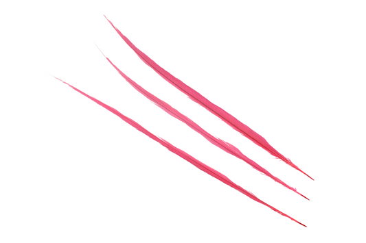 Pheasant Goldentail Bleached & Dyed Pieces 24-28" H67 Hot Pink