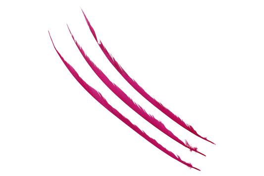 Pheasant Goldentail Bleached & Dyed Pieces 24-28" H70 Fuschia