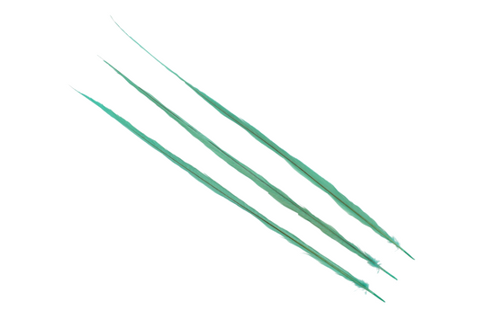 Pheasant Goldentail Bleached & Dyed Pieces 24-28" H115 Tiffany Blue