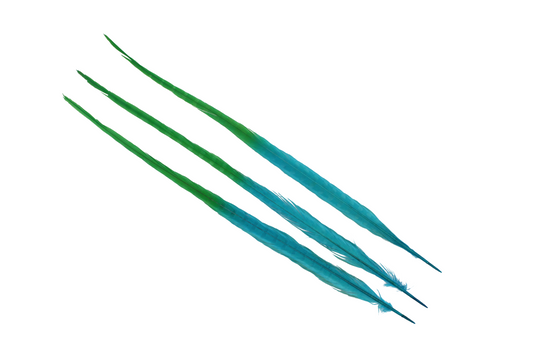 Pheasant Ringneck Bleached & Dyed 2 Tone 17-20" H8 Emerald & H12 Aqua Blue