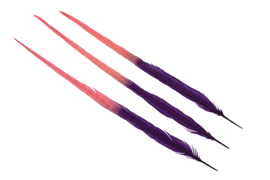 Pheasant Ringneck Bleached & Dyed 2 Tone 17-20" H111 Coral & H75 Purple