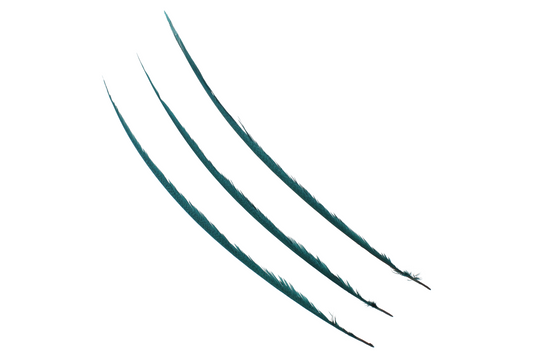 Pheasant Goldentail Bleached & Dyed Pieces 24-28" H4 Teal