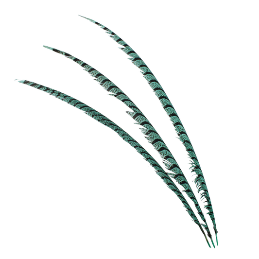 Pheasant Zebra Overdyed 30"+ H115 Tiffany Blue