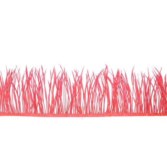 5-7" Goose Biots H111 Coral