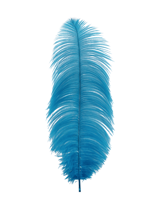 Ostrich Drabs 13-17" H100 Turquoise