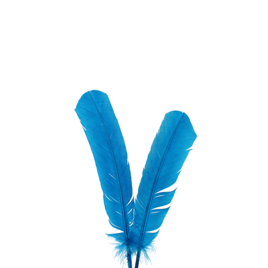 10-12” Turkey Quills H100 Turquoise