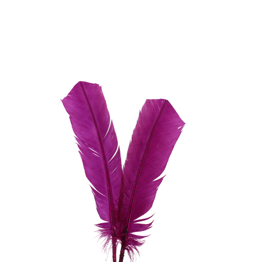 10-12” Turkey Quills H102 Wine