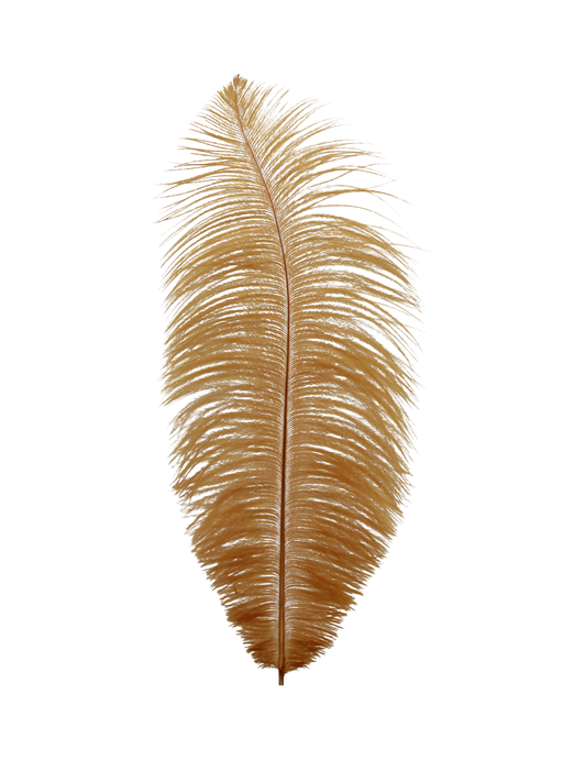 Ostrich Drabs 13-17" H105 Antique Gold