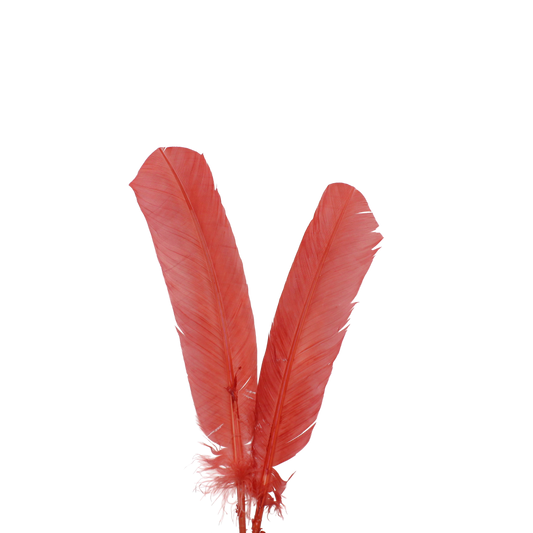 10-12” Turkey Quills H108 Dark Coral