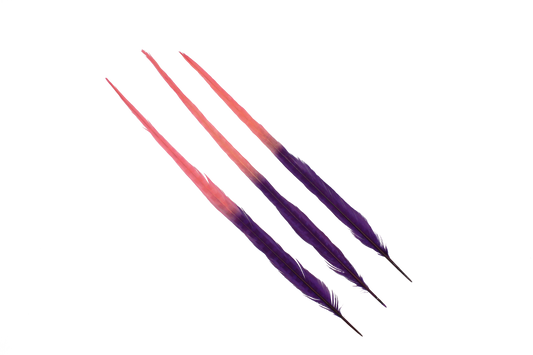 Pheasant Ringneck Bleached & Dyed 2 Tone 17-20" H75 Purple & H111 Coral