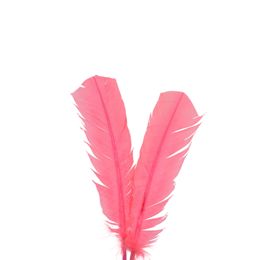 10-12” Turkey Quills H111 Coral