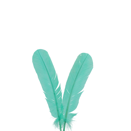 10-12” Turkey Quills H115 Tiffany Blue